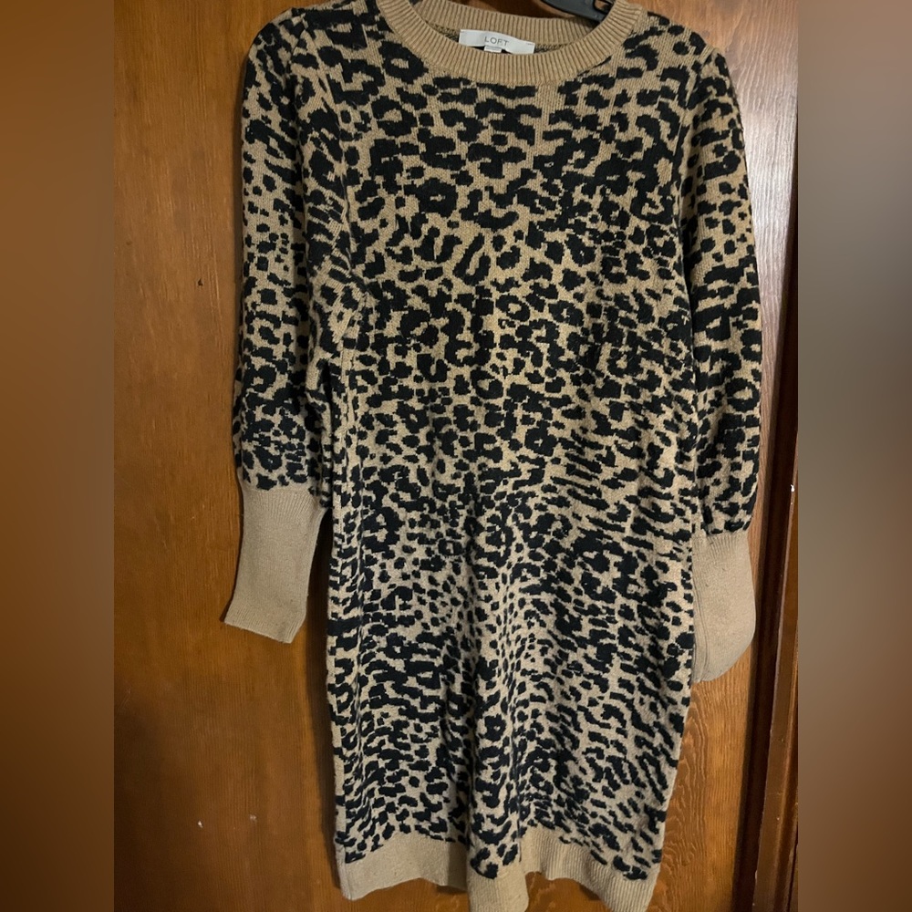 Ann Taylor Loft sweater dress